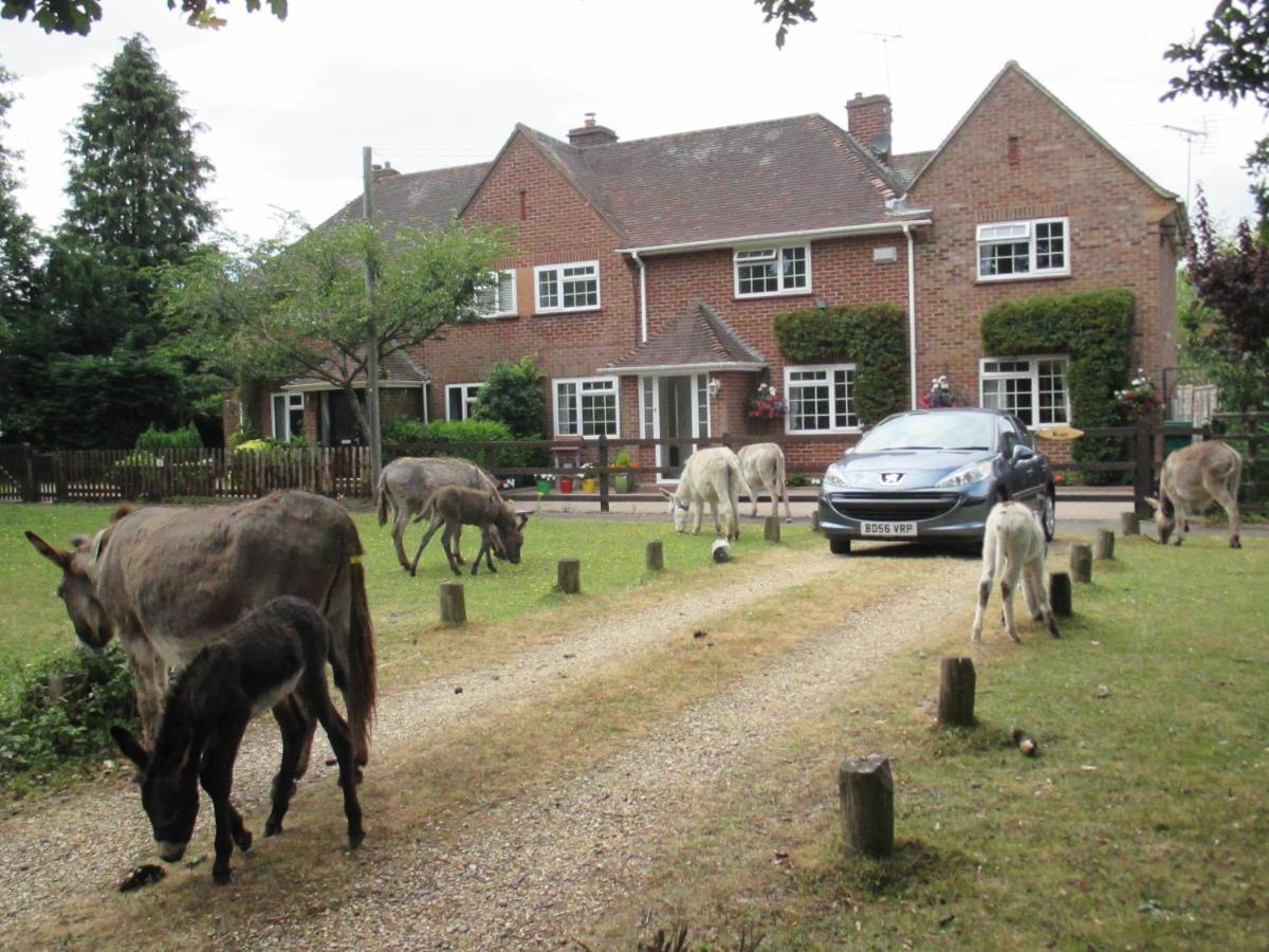 Villa Hops Main House, Brockenhurst, New Forest Exterior foto